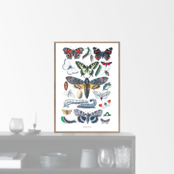 "Butterflies" plakat (A4)