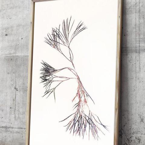 &quot;Seaweed tree&quot; plakat (A3)  byFrema